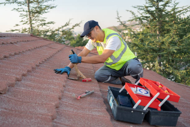 Best Roof Maintenance Services  in Raytown, MO